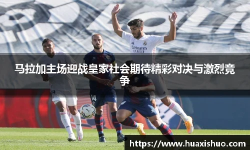 中欧体育