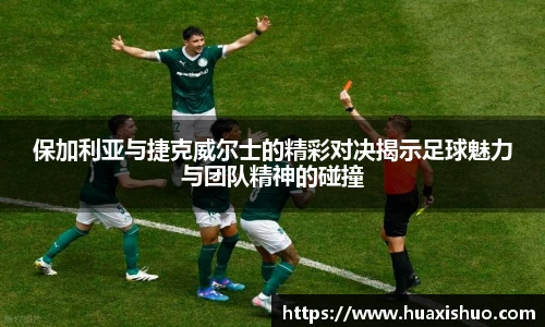 保加利亚与捷克威尔士的精彩对决揭示足球魅力与团队精神的碰撞
